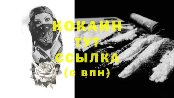 стафф Осинники