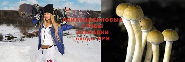 сатива Алзамай