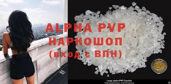 стафф Осинники