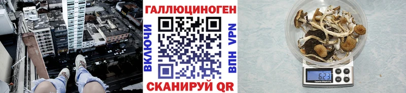 Псилоцибиновые грибы Cubensis  omg   Камбарка 